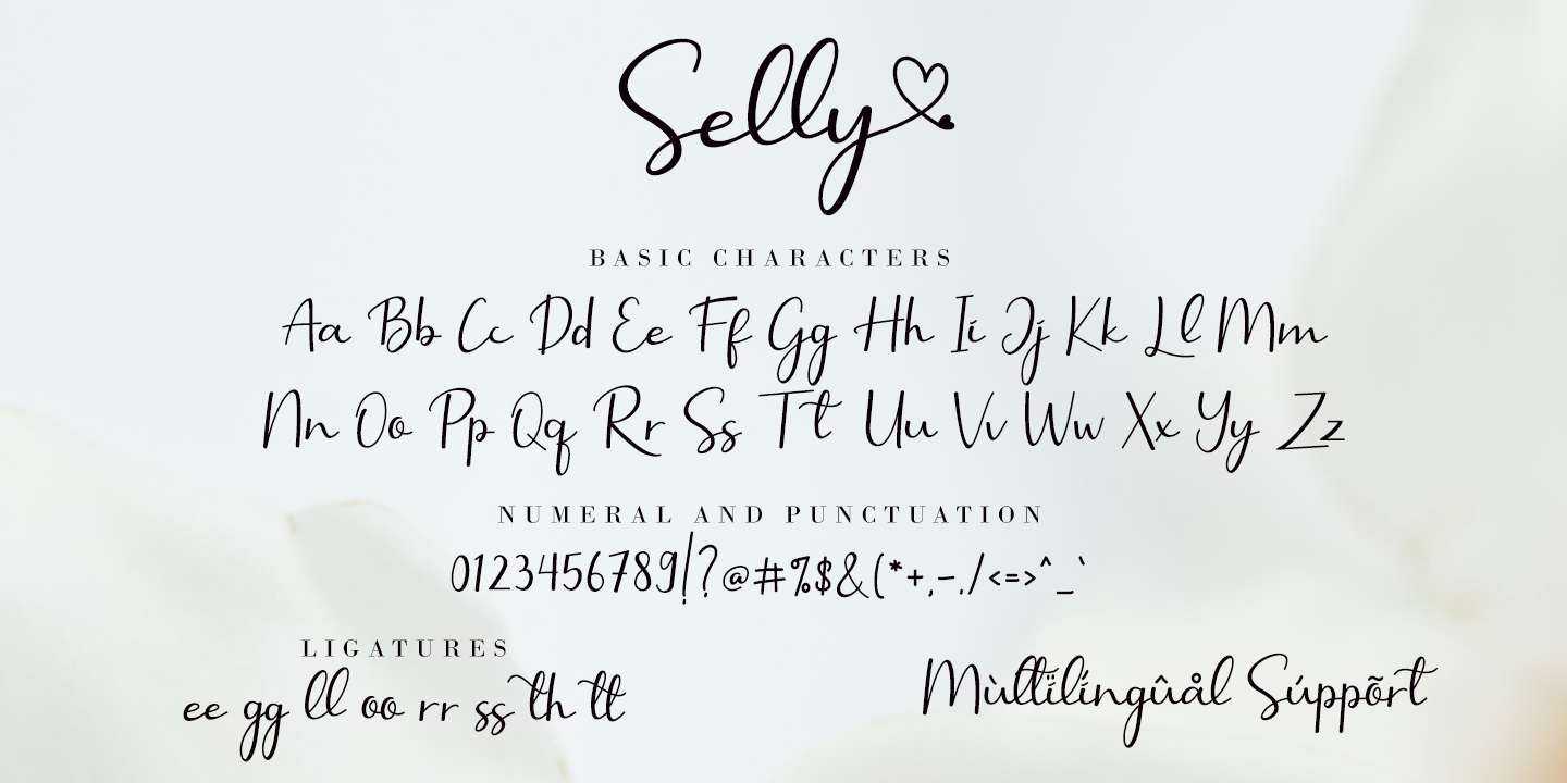 Beispiel einer Selly Calligraphy Italic-Schriftart